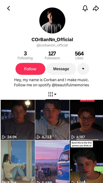 TikTok profile at 127 followers